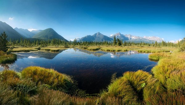 L'assurance voyage essentielle pour les digital nomads en 2025